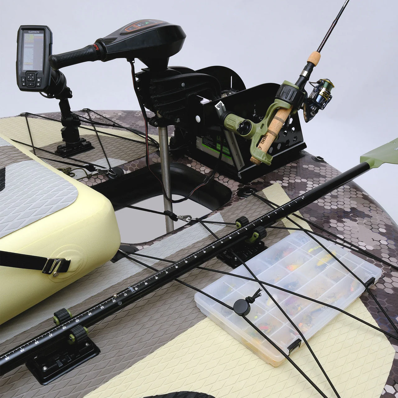Fish - Image 10