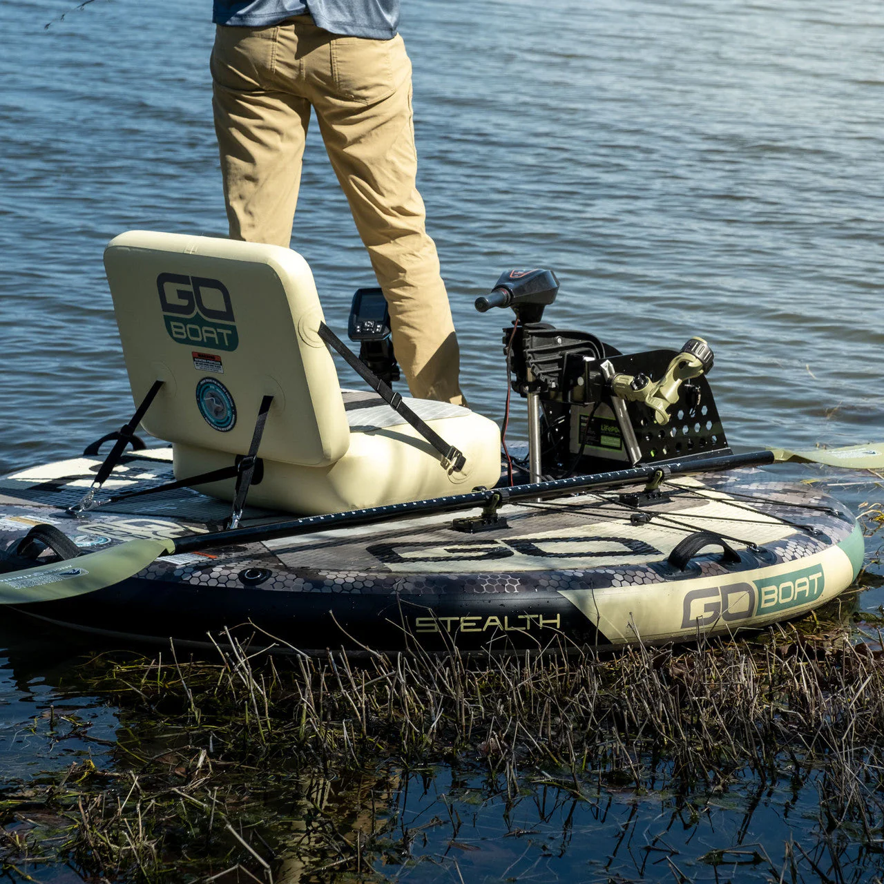 Fish - Image 6