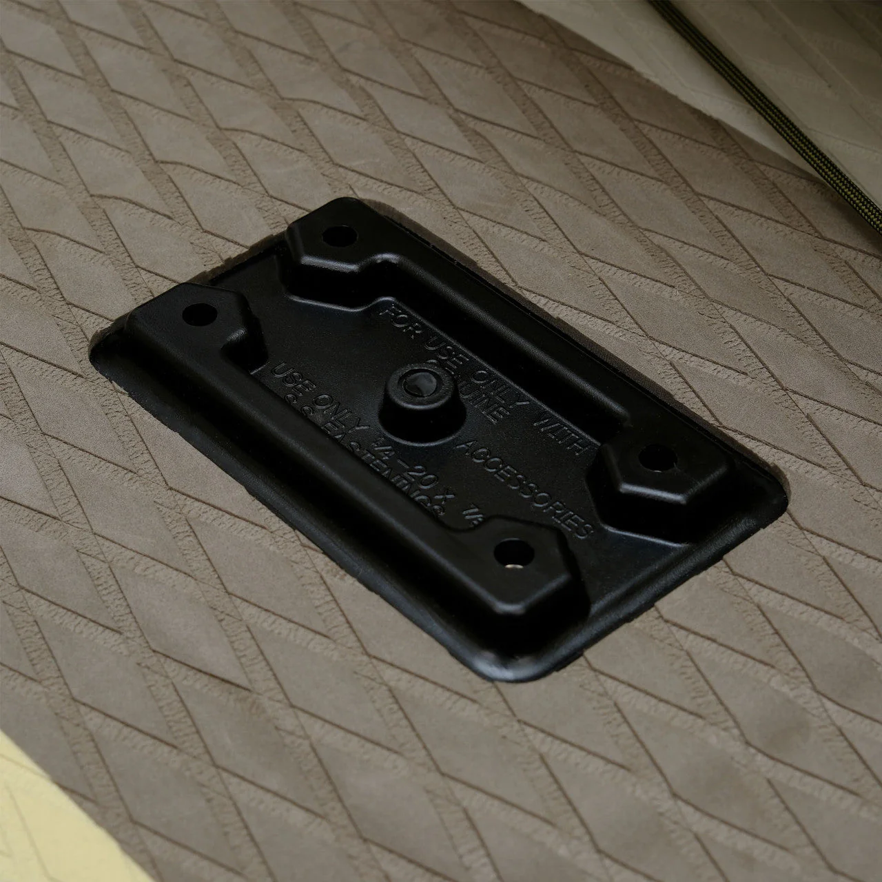 Fish - Image 8